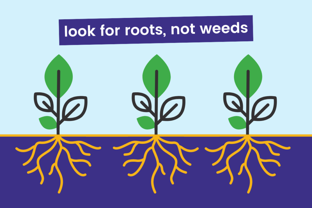 look for roots not weeds
